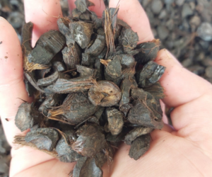 A hand holding wood pellets with a background of chopped wood logs