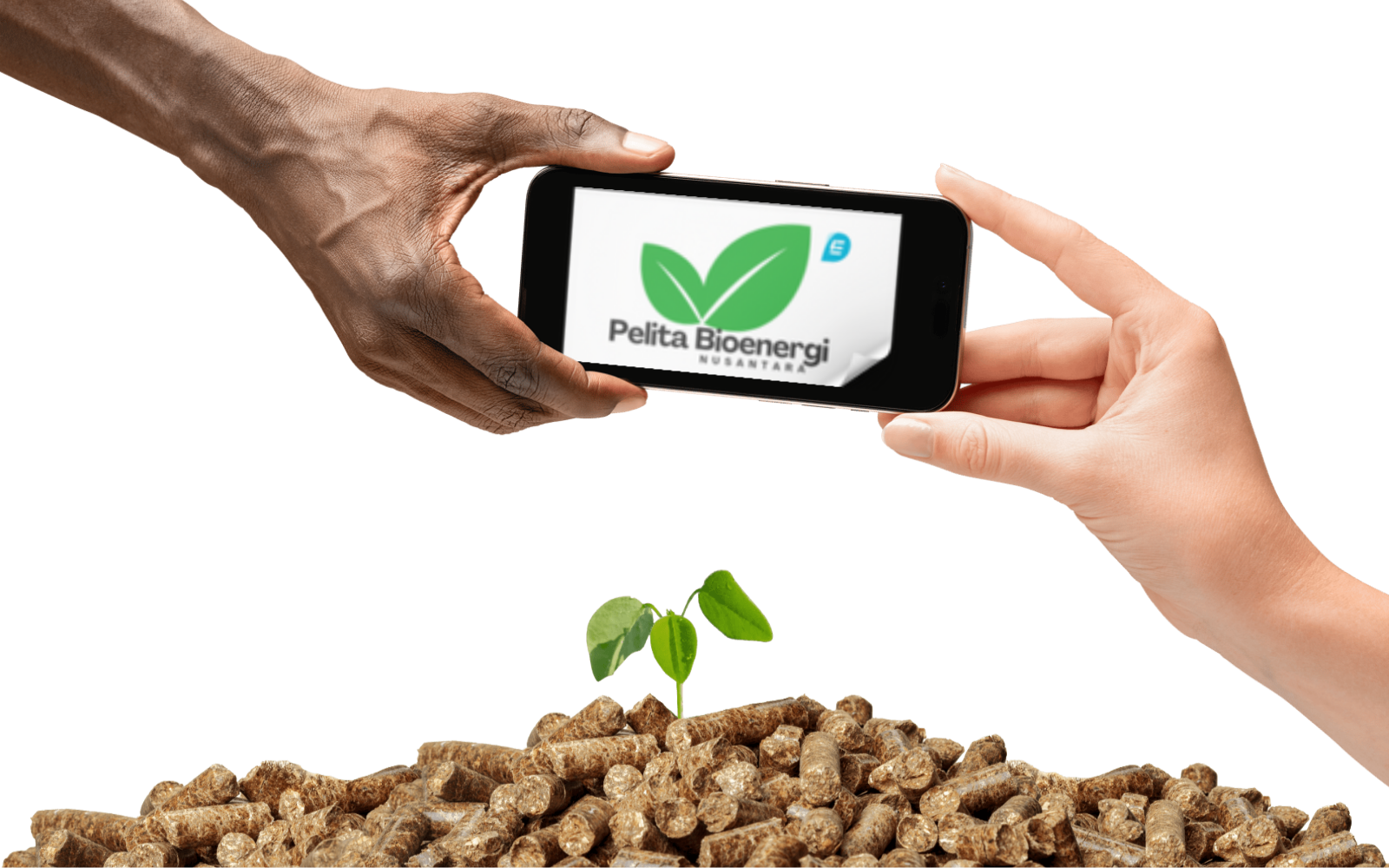 Hands holding a phone with Pelita Bioenergi logo